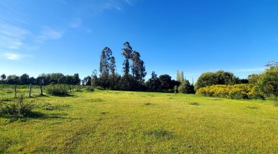 Terrenos